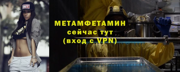 прущие грибы Мегион