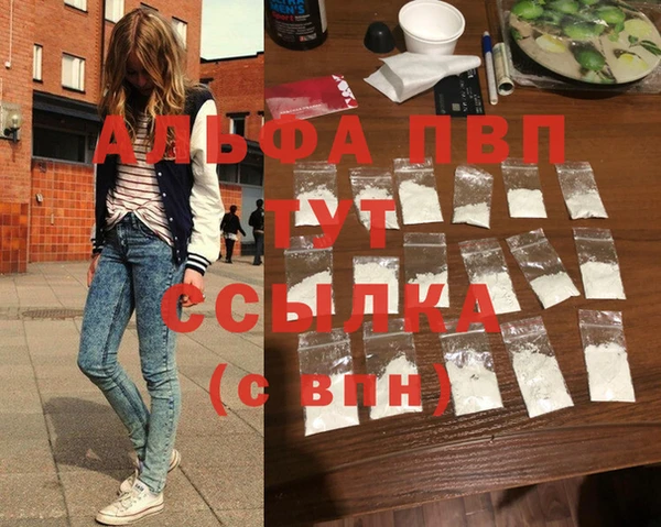 прущие грибы Мегион