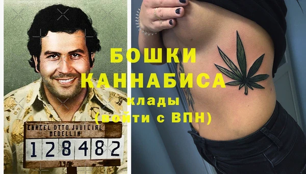 прущие грибы Мегион
