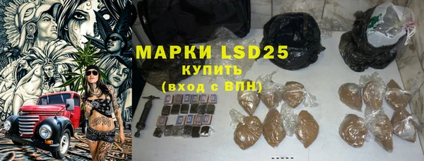 прущие грибы Мегион