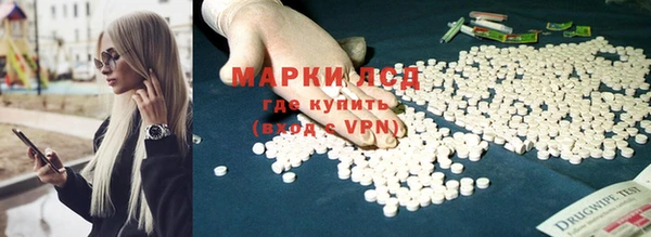 прущие грибы Мегион