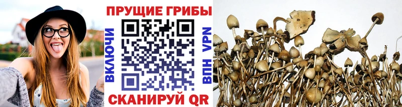 Галлюциногенные грибы GOLDEN TEACHER  mega   Таштагол  где купить наркоту 
